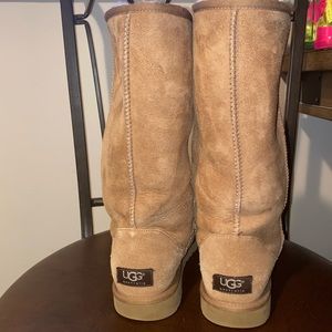 Ugg Classic Tall Boot. In color Chestnut.